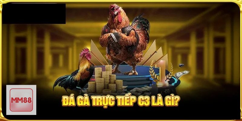 Đá Gà MM88 - Khái niệm về đá gà trực tuyến